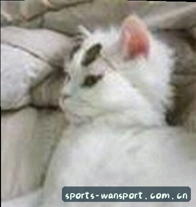 周丽